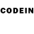 Codein напиток Lean (лин) Garfield Zzz