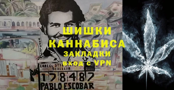 молекула духа Алексин